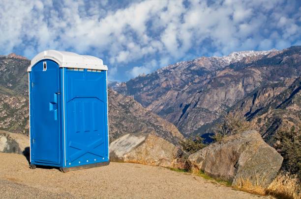 Best Affordable porta potty rental  in Thornton, IL